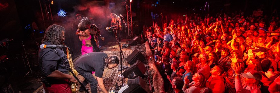 GuitarfishFest's profile banner image