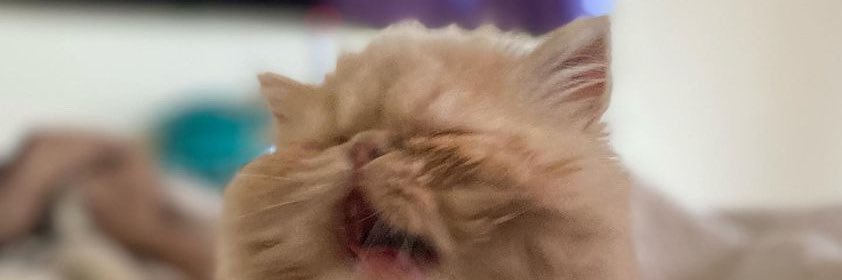 acevedok_'s profile banner image