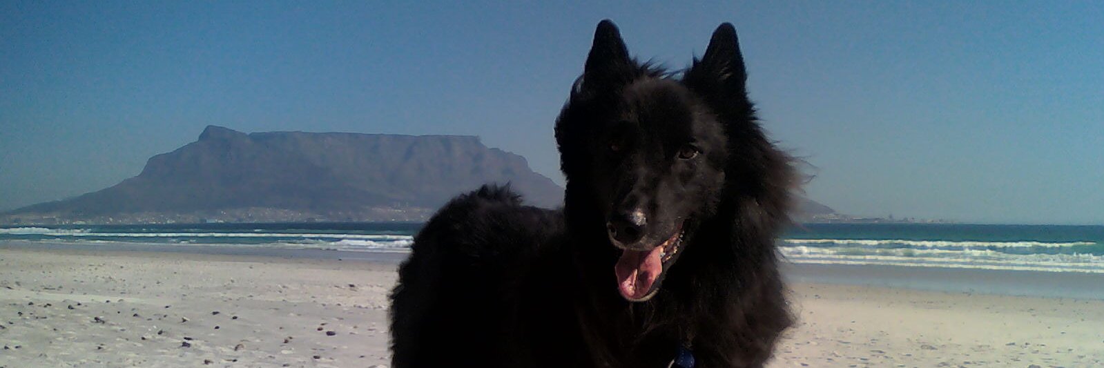 babsieprinsloo's profile banner image