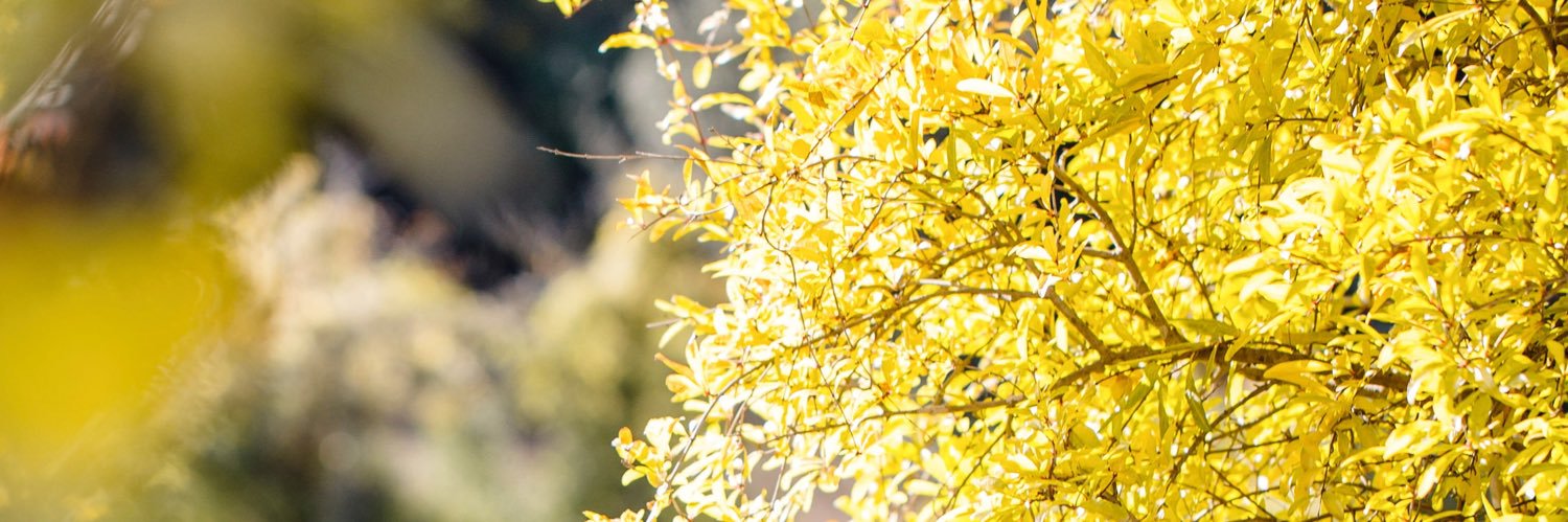 Nuriadm5's profile banner image