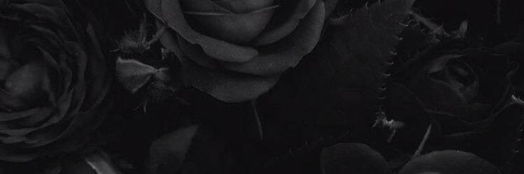 ReyReel's profile banner image