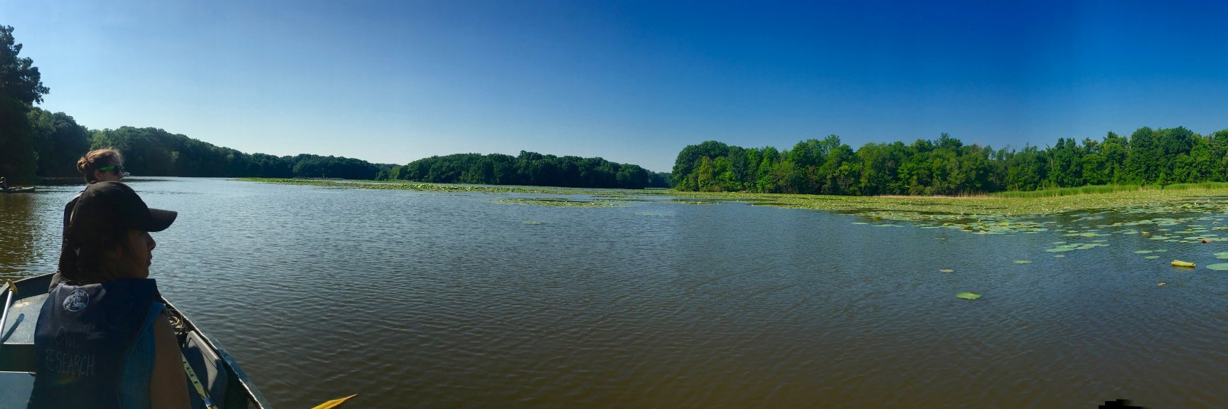 The Wrighton Lab banner