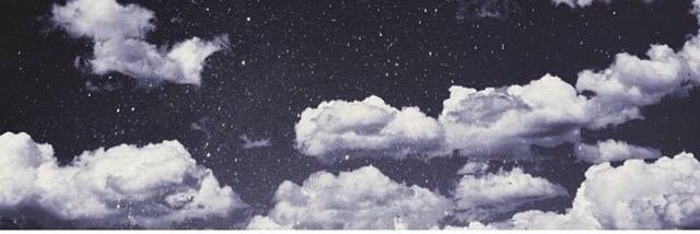 danimalsainato's profile banner image
