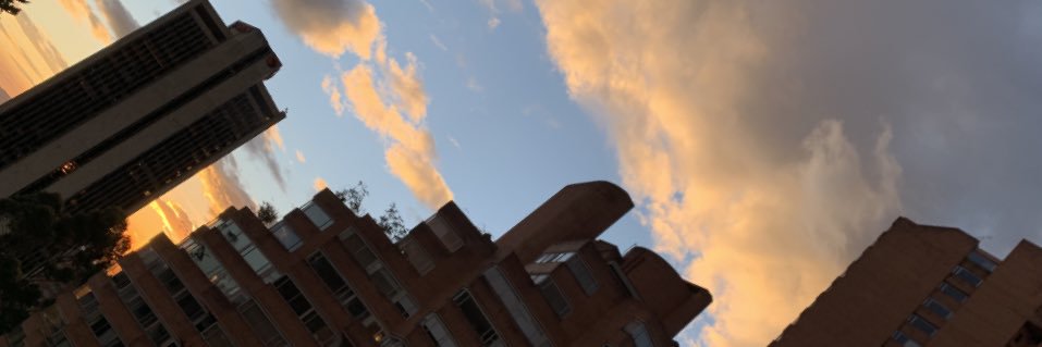 LaurisArteaga's profile banner image