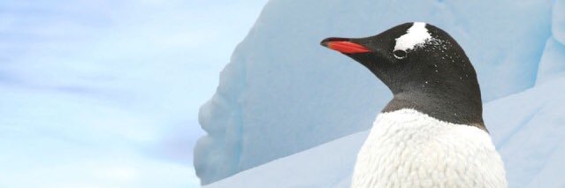 thatJoshyouknow's profile banner image