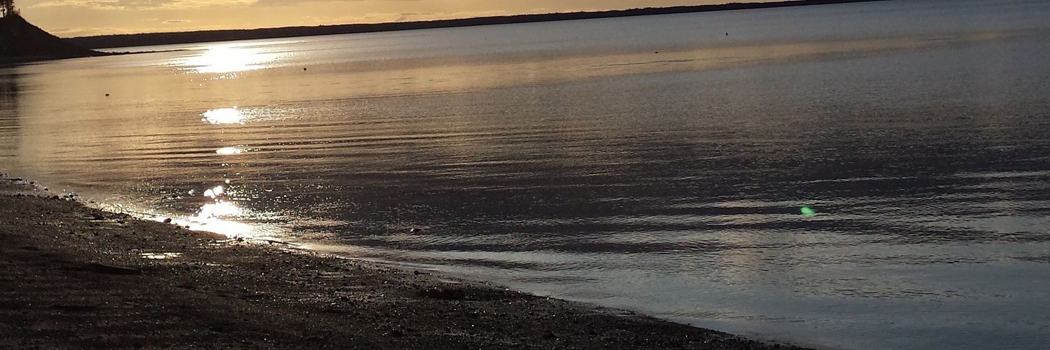 Sarahmmj's profile banner image