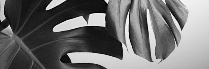 Charleysuee's profile banner image