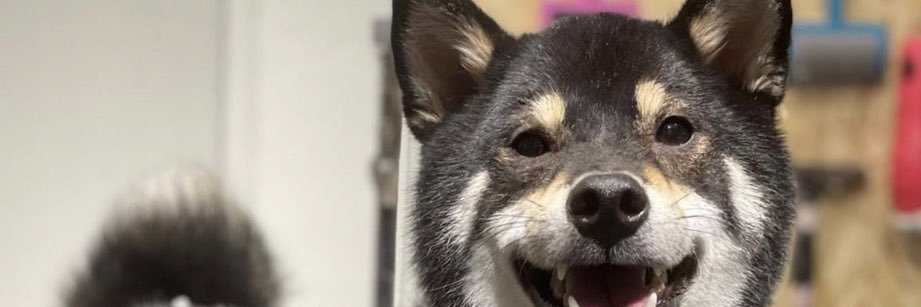 LeoCKwan's profile banner image