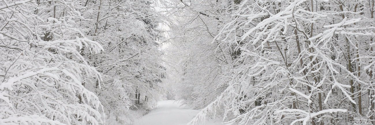 SnowplowsPlus banner