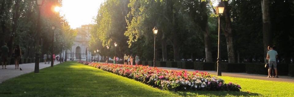 miichellerdz's profile banner image