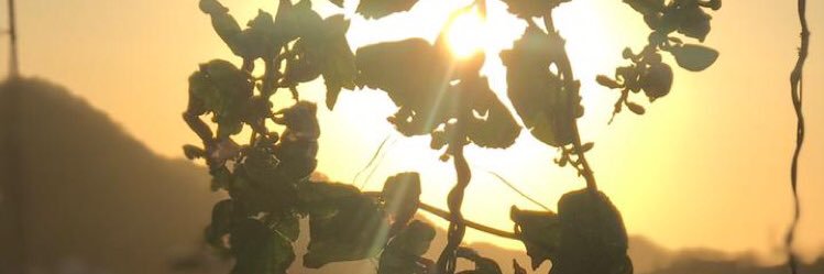 keygomezp's profile banner image