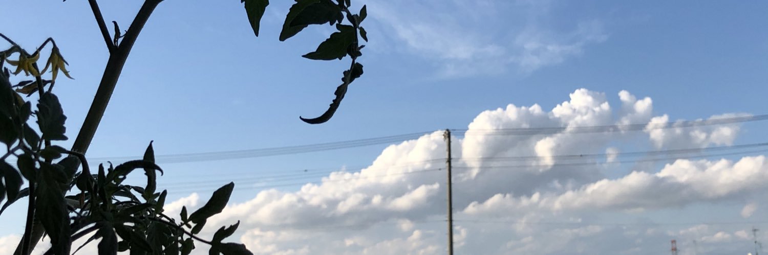 hiro_lei's profile banner image