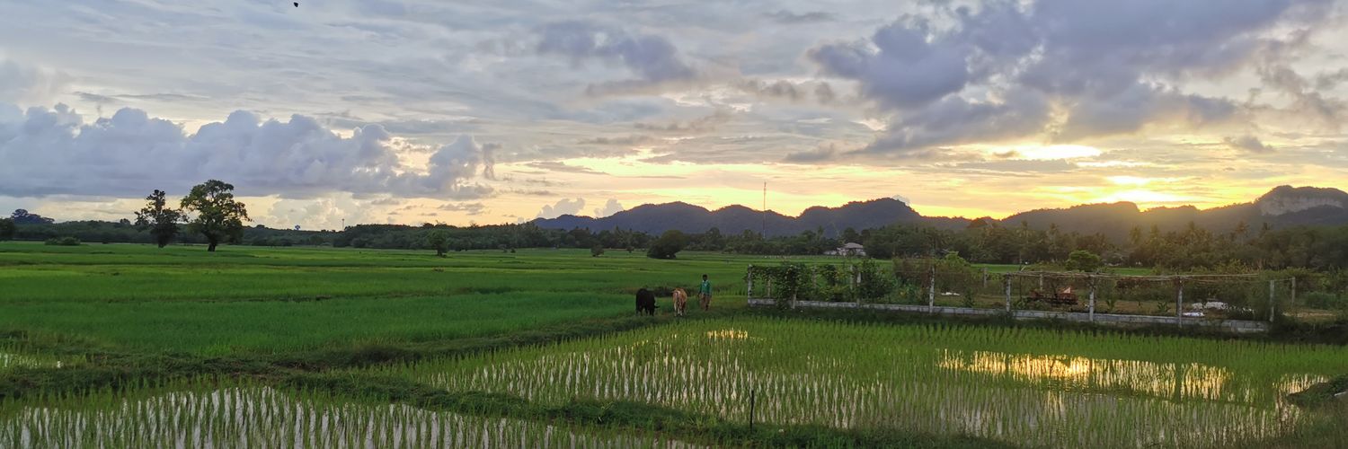 sida_1030's profile banner image