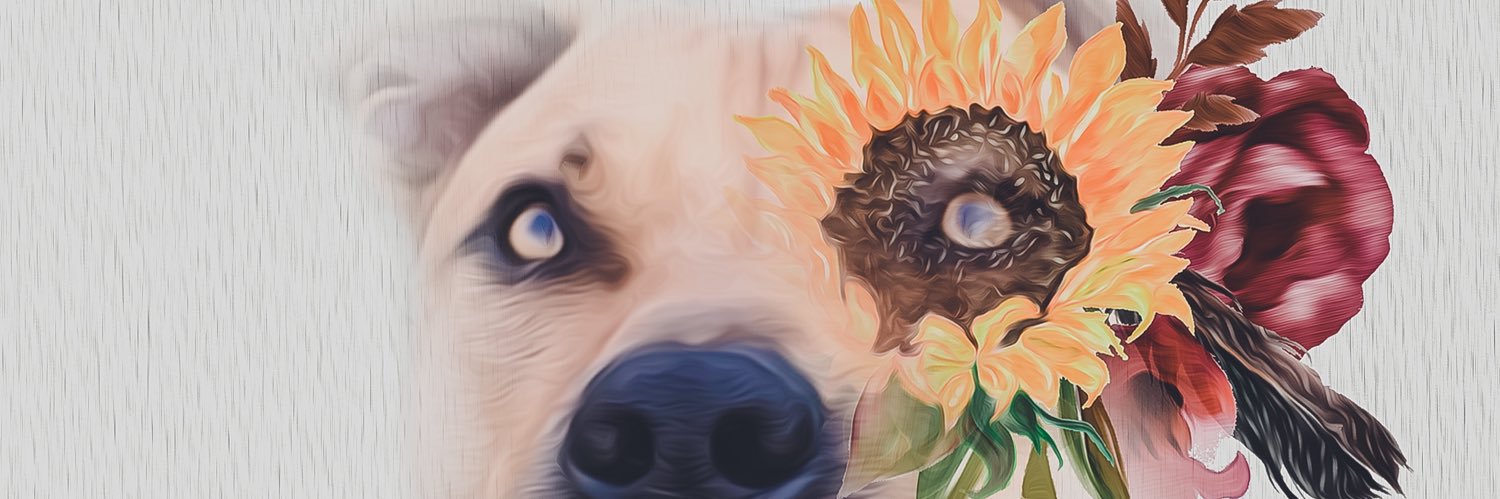 BreezyBoo713's profile banner image