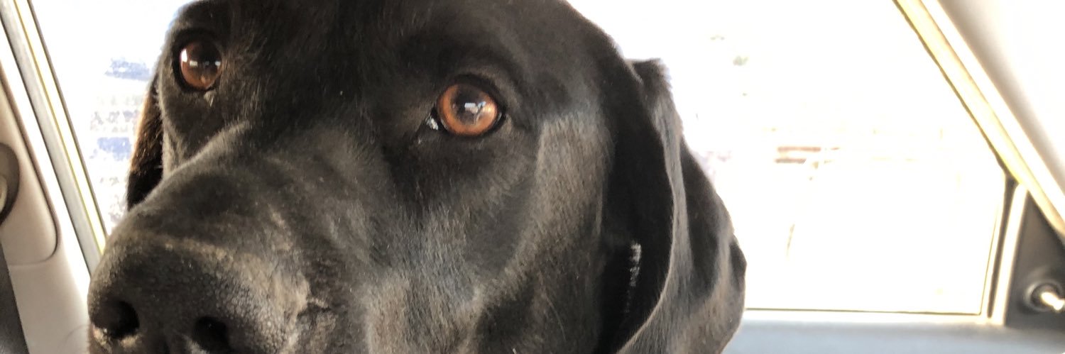 muddytonberry's profile banner image