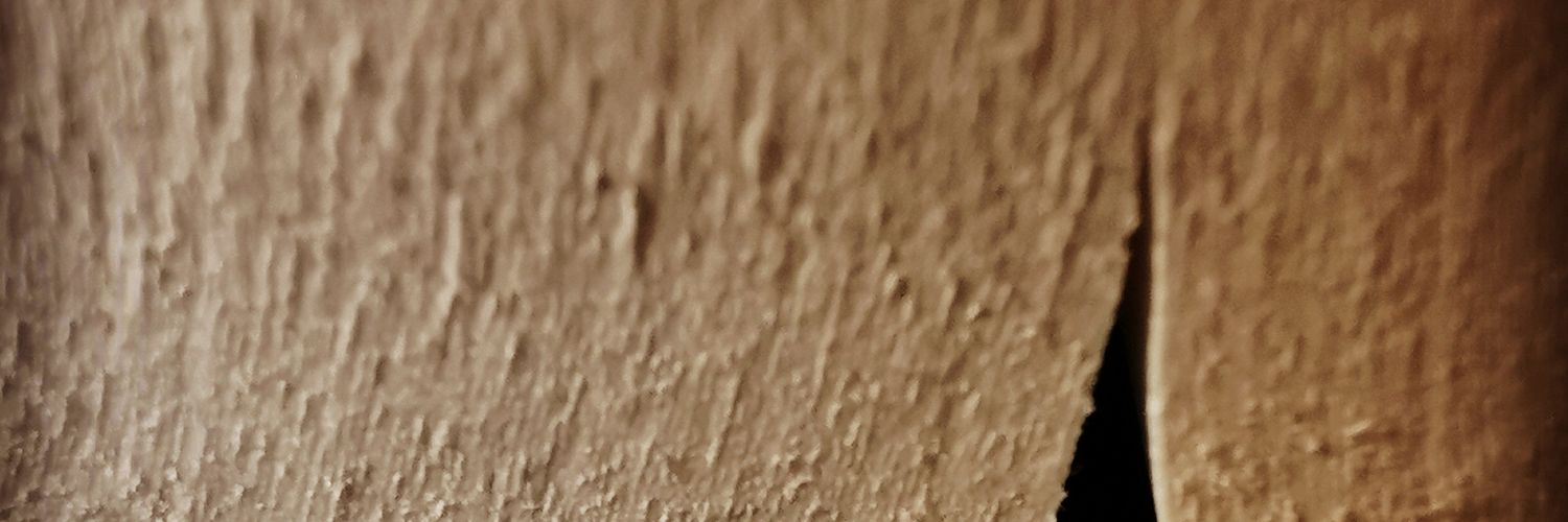 رائد المقبل banner