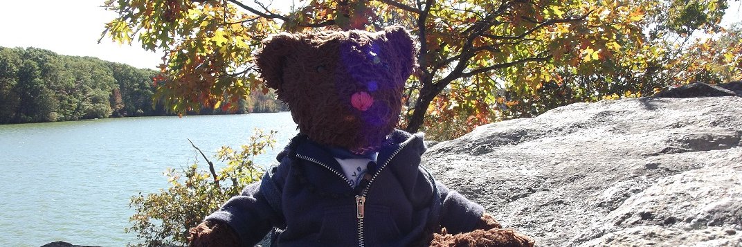 Joan and Raspberry 🐻🤗💜 banner