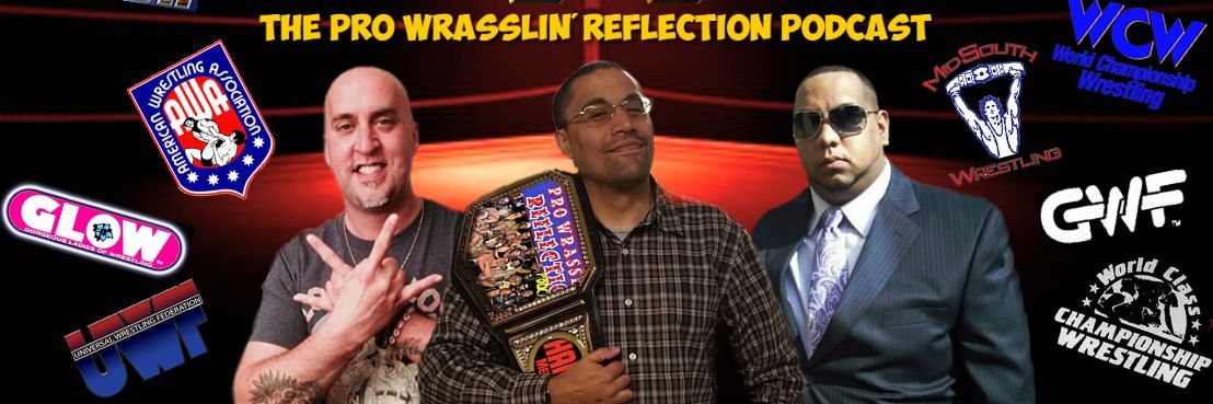 Pro Wrasslin’ Reflection banner
