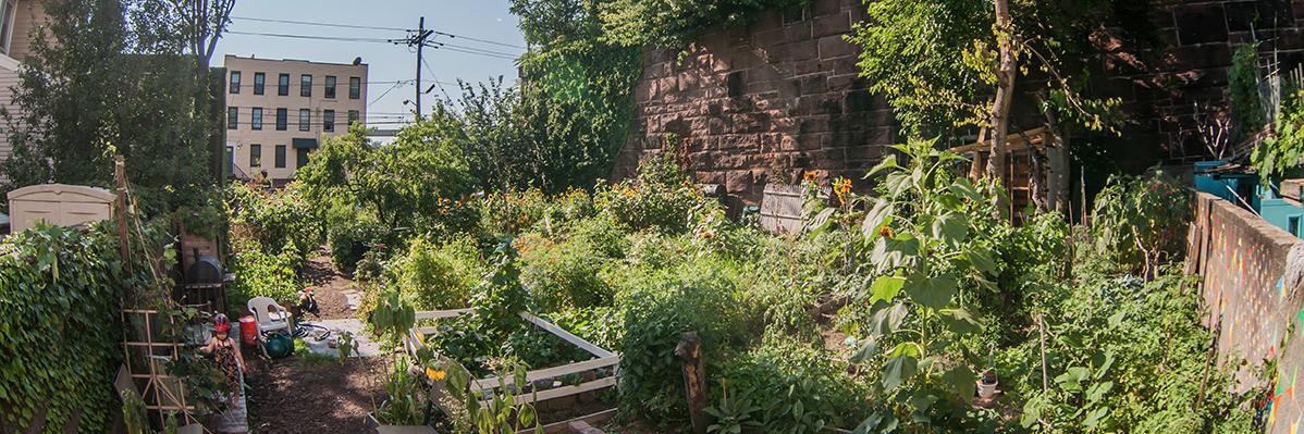 BrunswickGarden's profile banner image