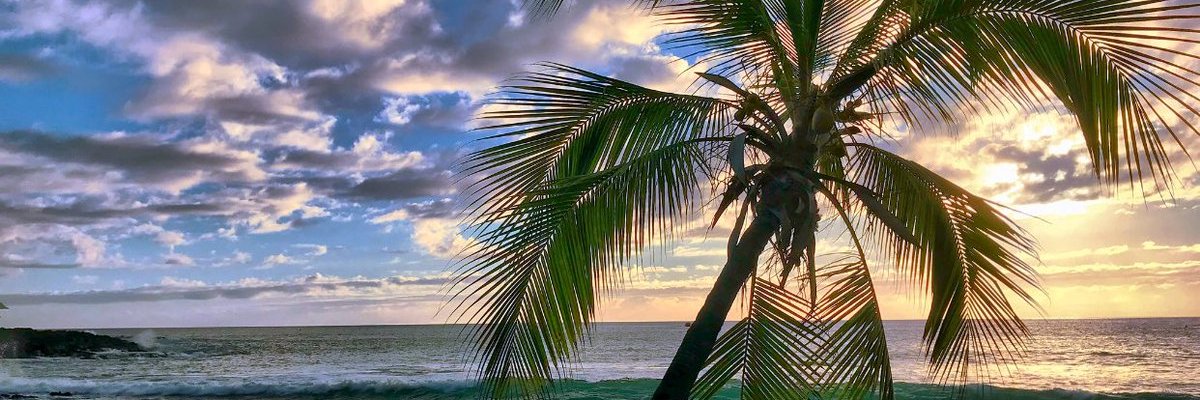 SuddenC147's profile banner image