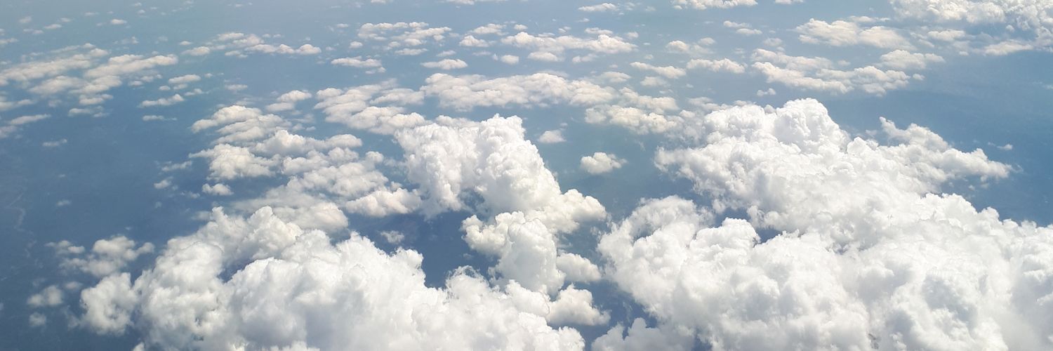 Nuria Rodríguez banner