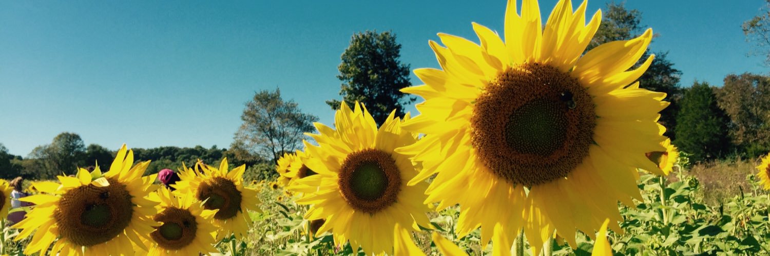 erinbien's profile banner image