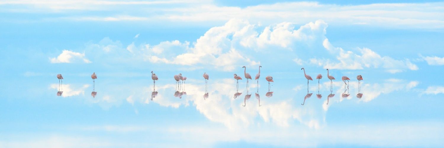 lioriooo's profile banner image