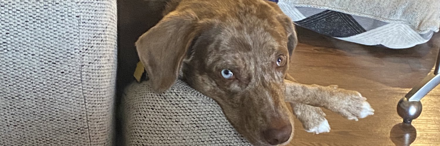 MadisonBrynn128's profile banner image