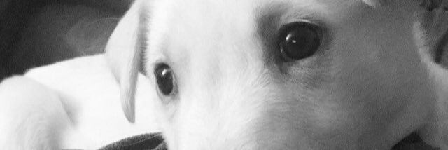 McKayla Miller banner