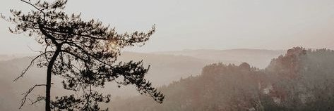 QueenofFox banner