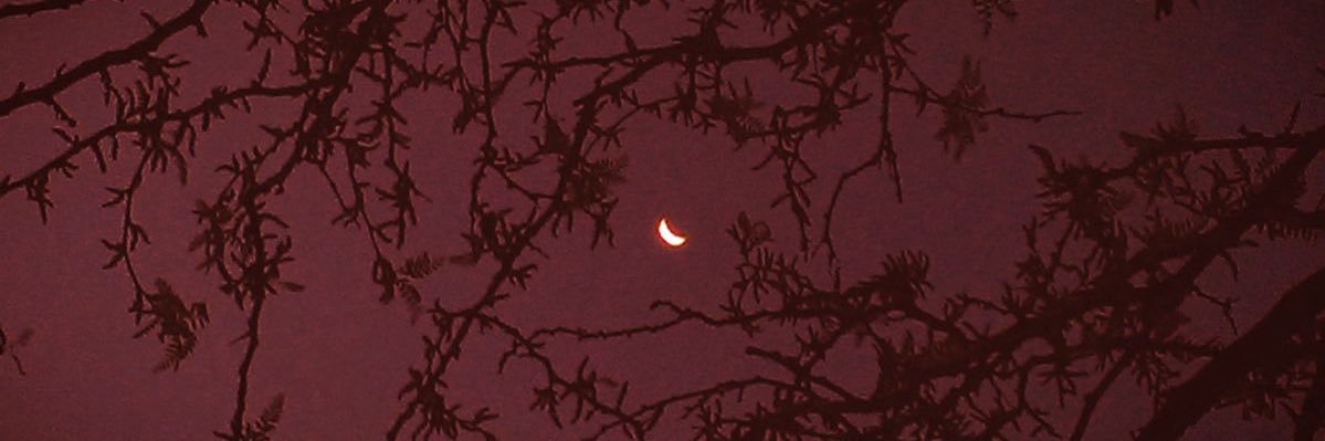 sydcherie's profile banner image