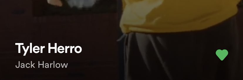 TaylorBradish's profile banner image