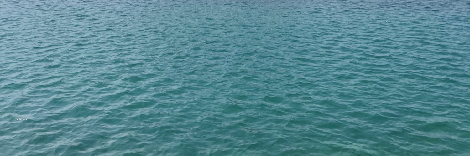LRaquelSerrano's profile banner image
