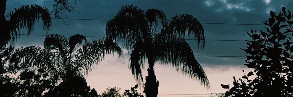 vtparkz's profile banner image