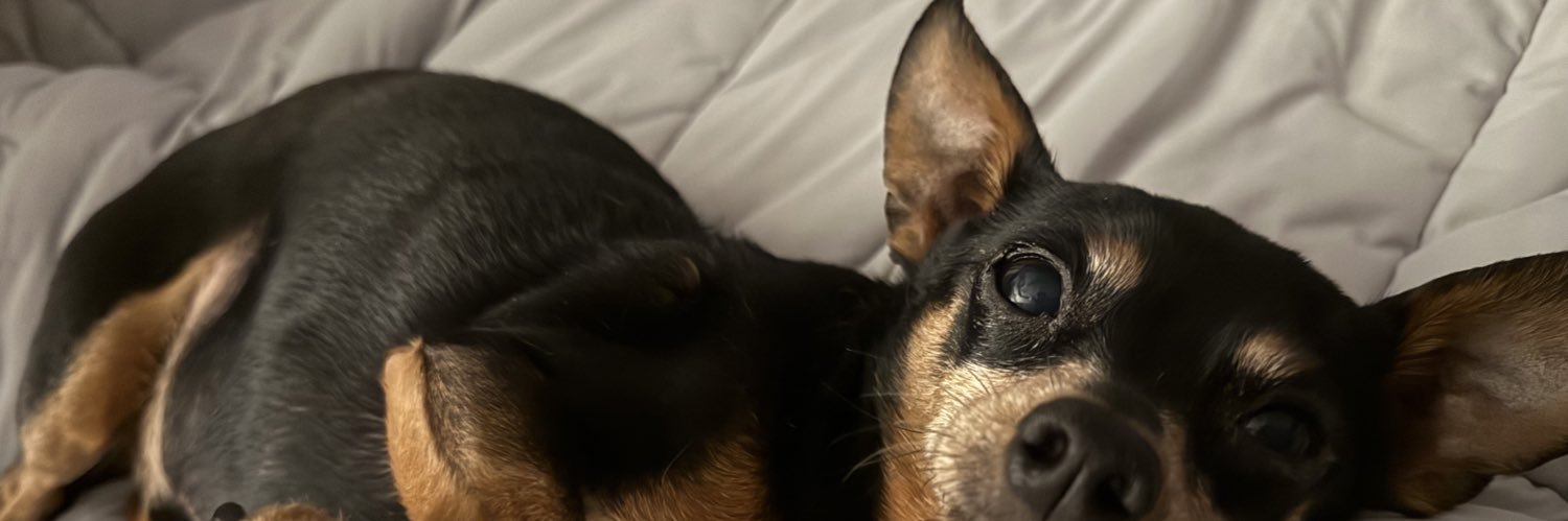 breannaker's profile banner image