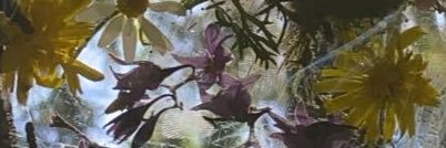 KEscobar__'s profile banner image