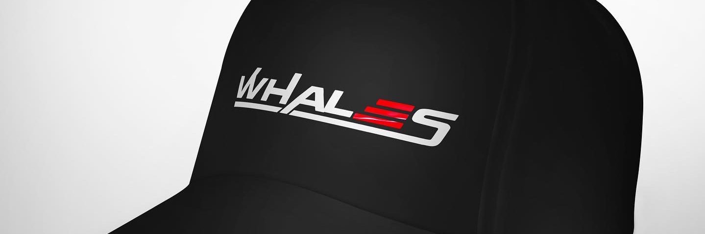 deejaywhales 🇬🇧🇳🇬 banner