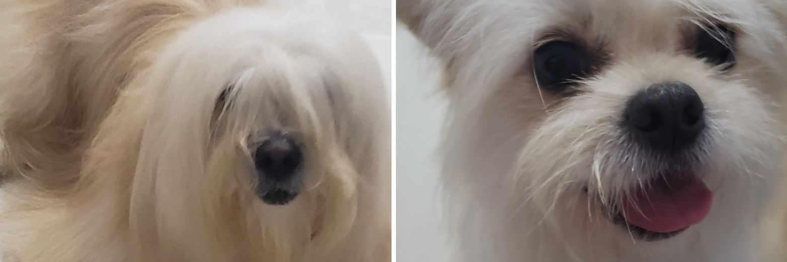 AnaluMD's profile banner image