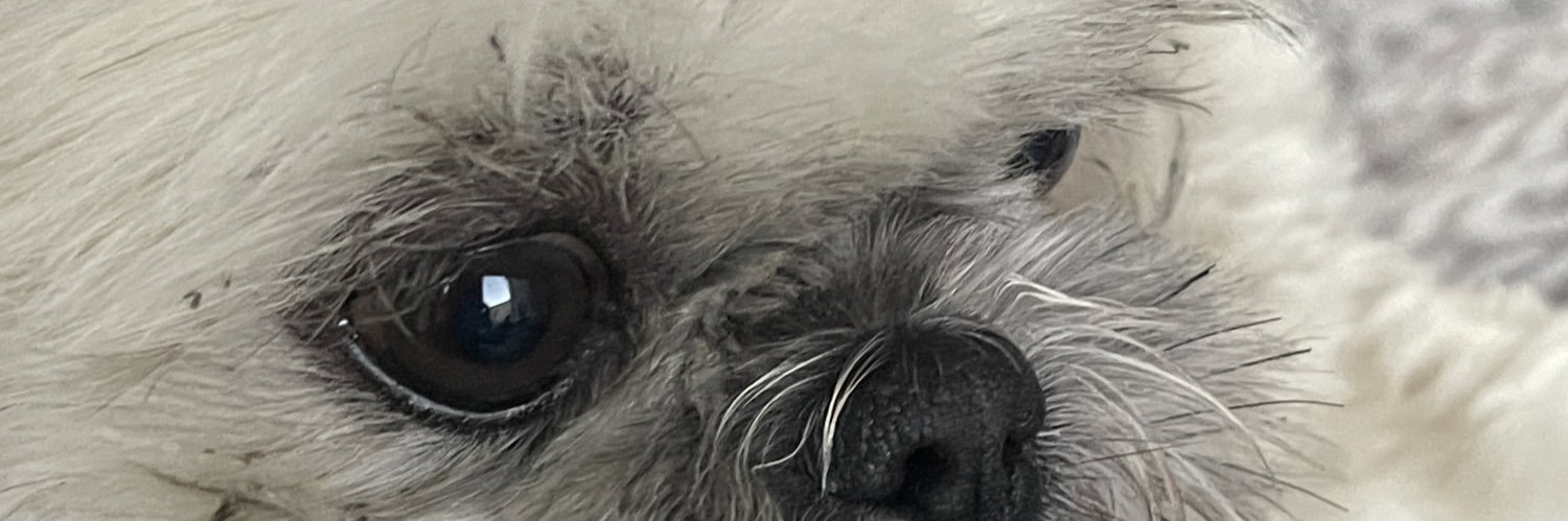 EddieSotelo's profile banner image