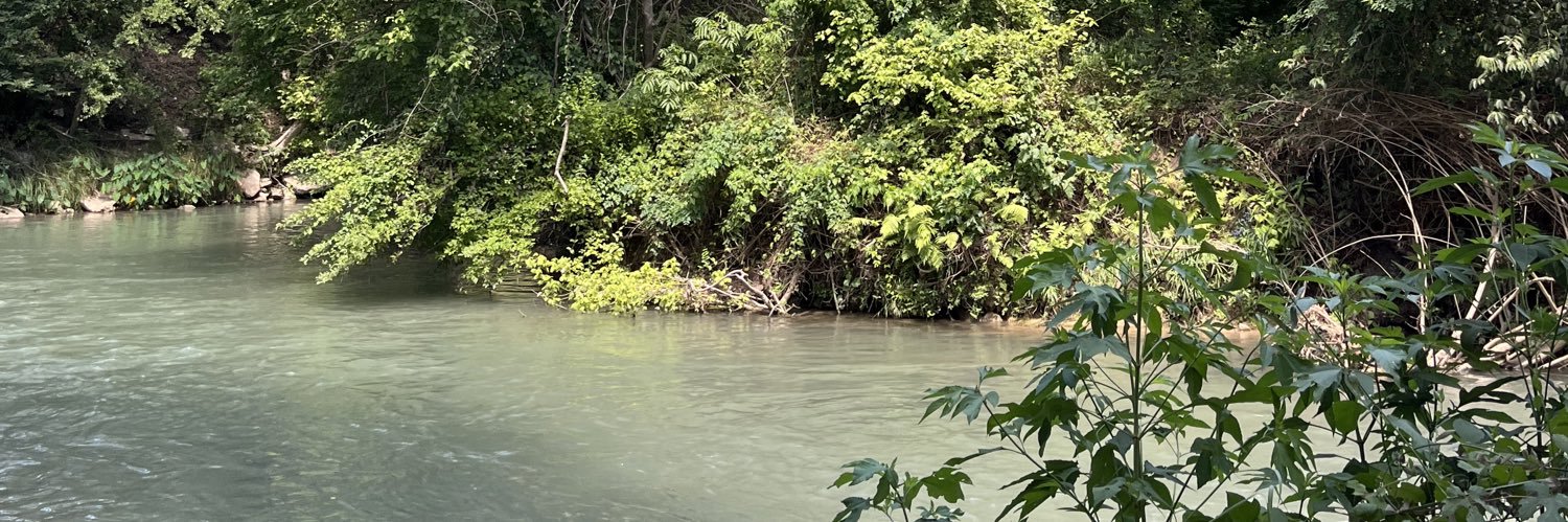 Megan Stringer banner