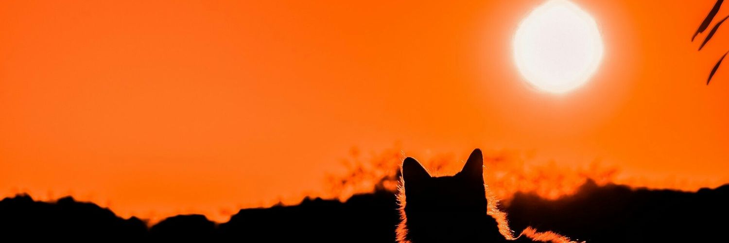 XVIMYHC's profile banner image