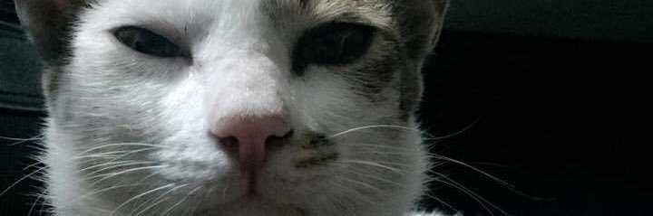 CTMPReaw's profile banner image