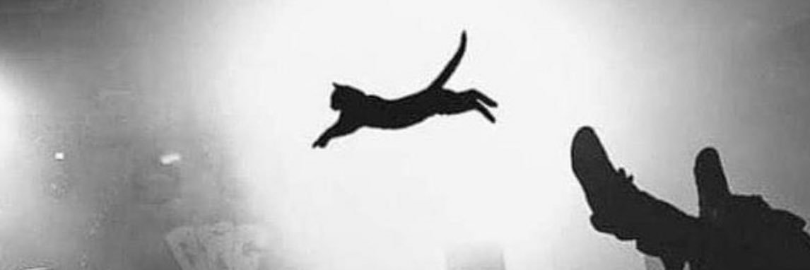 PRINCE$$ BRII banner