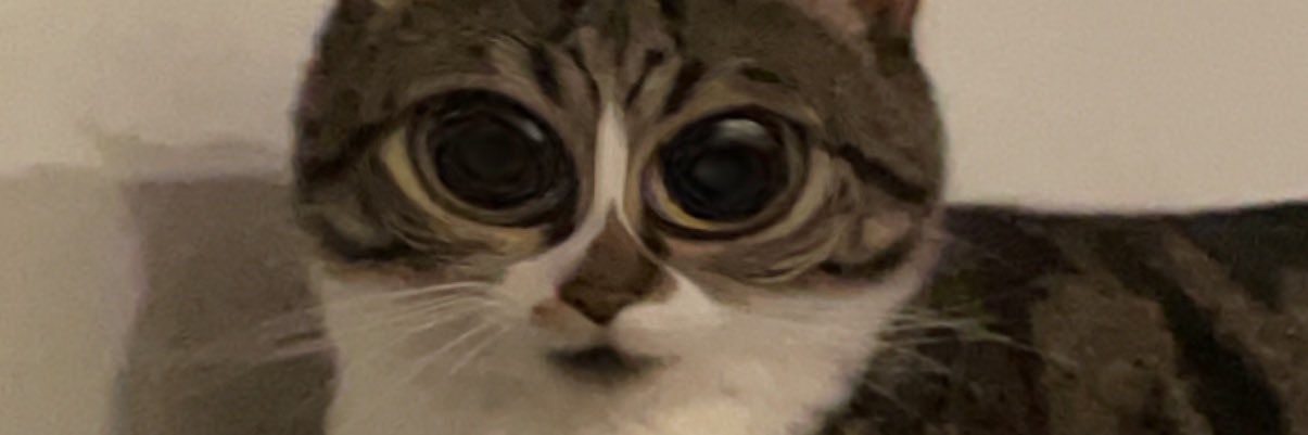 _alisonhood's profile banner image