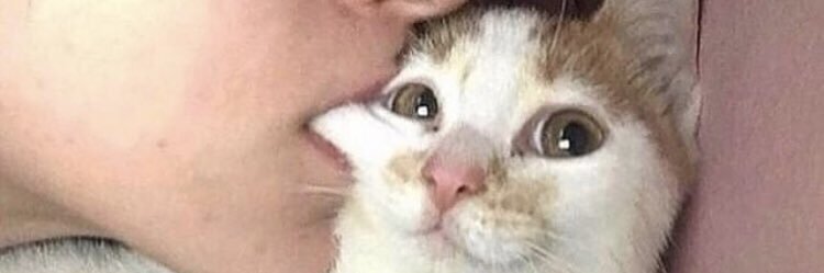 itsnotaboutu_'s profile banner image