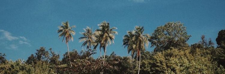 Luckylvck's profile banner image