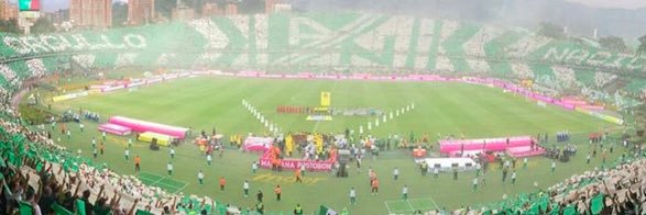 Tatiana Casas banner