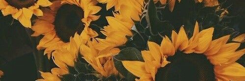 carlylambe's profile banner image