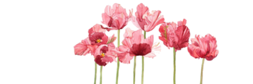 MarianaB27's profile banner image