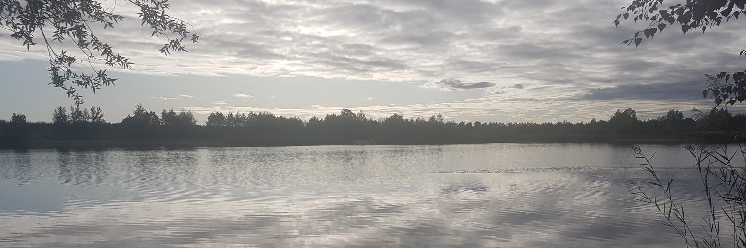 sielinde's profile banner image